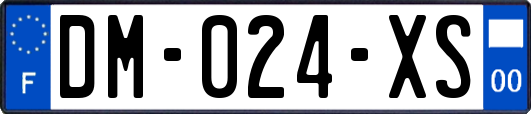 DM-024-XS