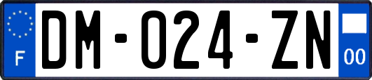 DM-024-ZN