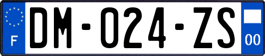 DM-024-ZS