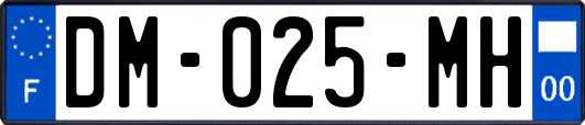 DM-025-MH