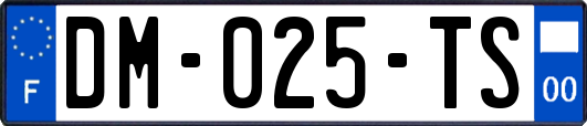 DM-025-TS