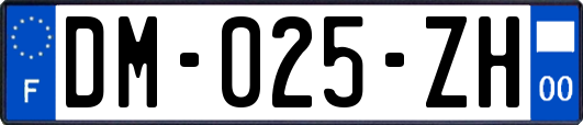 DM-025-ZH