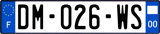 DM-026-WS