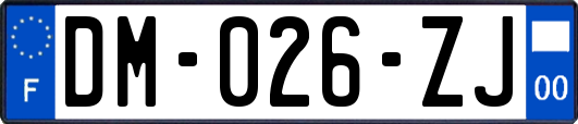 DM-026-ZJ