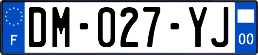 DM-027-YJ