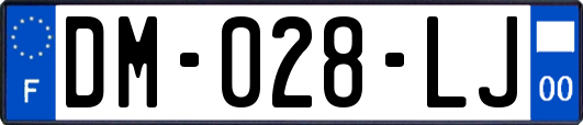 DM-028-LJ