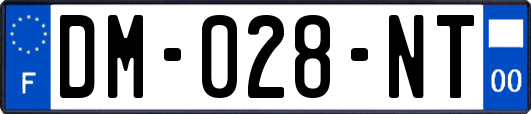 DM-028-NT