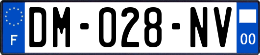 DM-028-NV