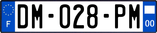 DM-028-PM