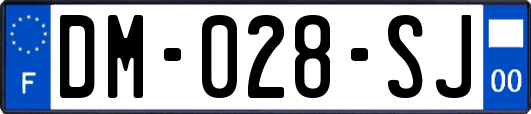 DM-028-SJ