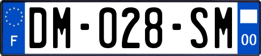 DM-028-SM