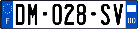 DM-028-SV