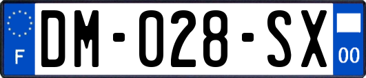 DM-028-SX