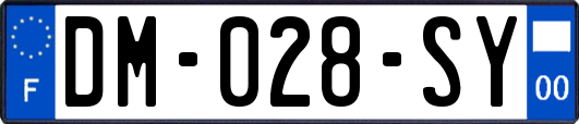 DM-028-SY