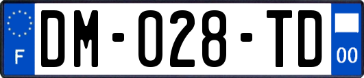 DM-028-TD