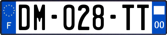 DM-028-TT