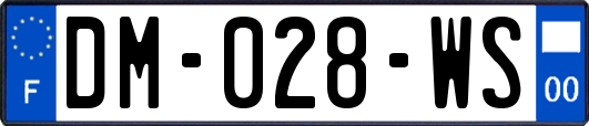 DM-028-WS