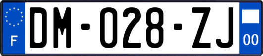 DM-028-ZJ