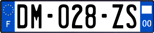 DM-028-ZS