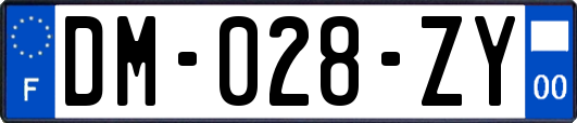 DM-028-ZY