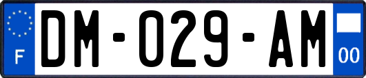 DM-029-AM