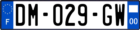 DM-029-GW