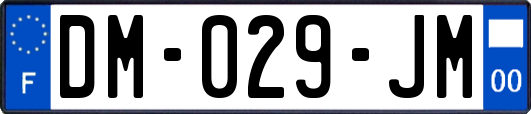 DM-029-JM