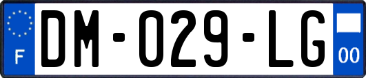DM-029-LG