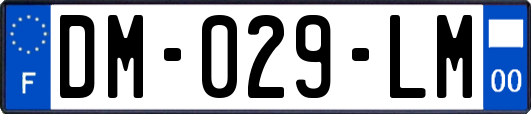 DM-029-LM
