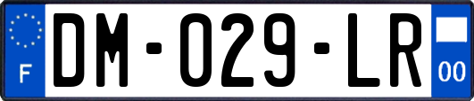 DM-029-LR