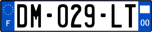 DM-029-LT