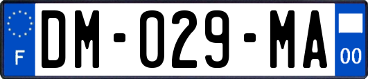DM-029-MA