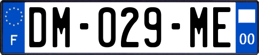 DM-029-ME