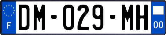 DM-029-MH