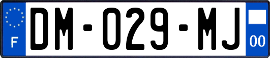 DM-029-MJ