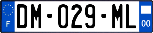DM-029-ML
