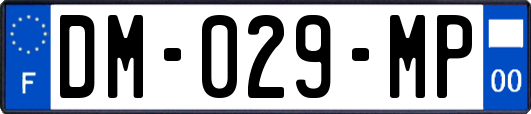 DM-029-MP