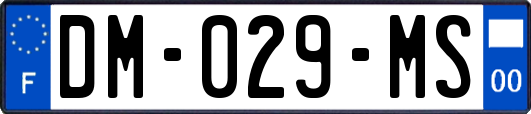 DM-029-MS