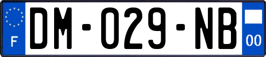 DM-029-NB
