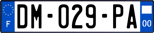 DM-029-PA