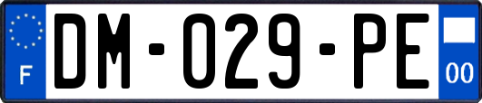 DM-029-PE