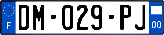 DM-029-PJ