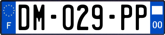 DM-029-PP