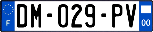 DM-029-PV