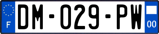 DM-029-PW