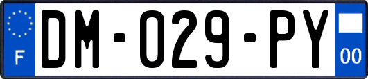 DM-029-PY
