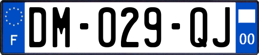 DM-029-QJ