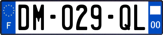 DM-029-QL