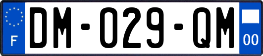 DM-029-QM