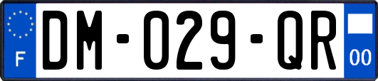 DM-029-QR